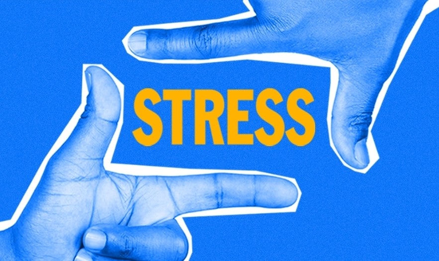 Mental Health Support